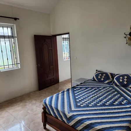 Bamboo Guest House